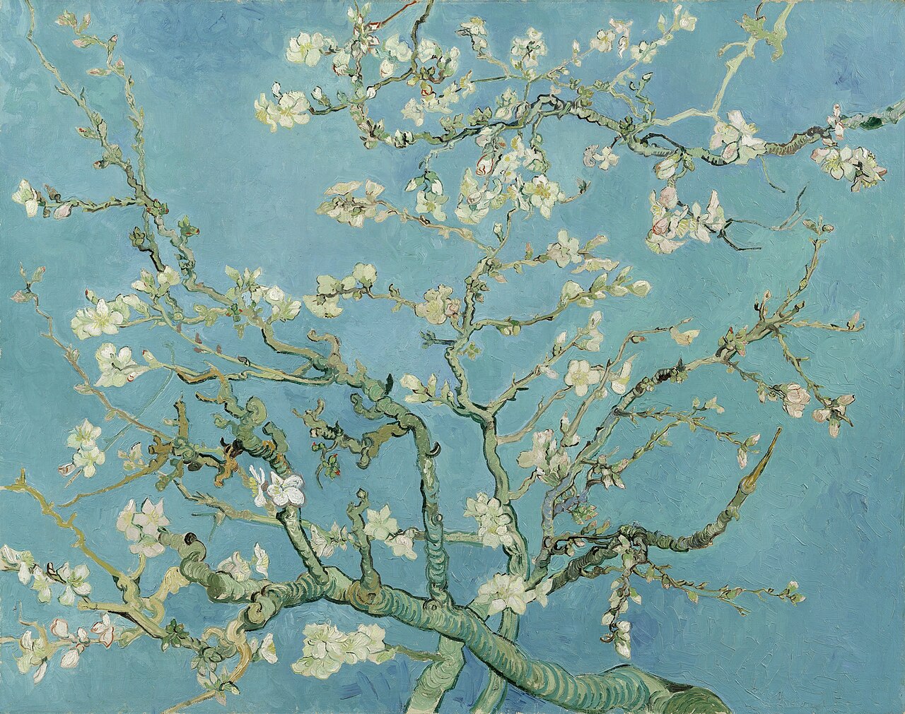 Branches of an almond tree in white blossom, seen from directly underneath and spreading across the whole canvas against a flat pale turquoise sky. The branches are dark and angular, cropped by every edge, so the tree has no trunk and no ground &mdash; only canopy and sky.